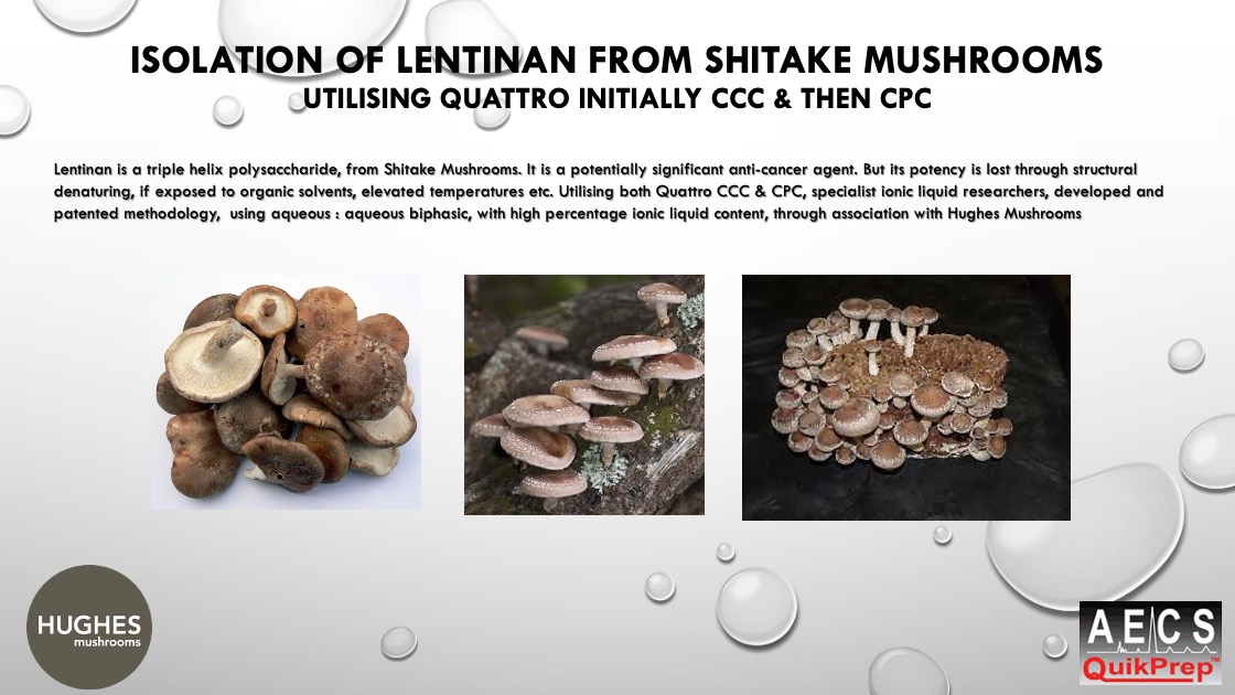 Isolation of Lentinan From Shitake Mushrooms